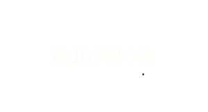 LOGO-VALLFORMOSA_BEIGE 4